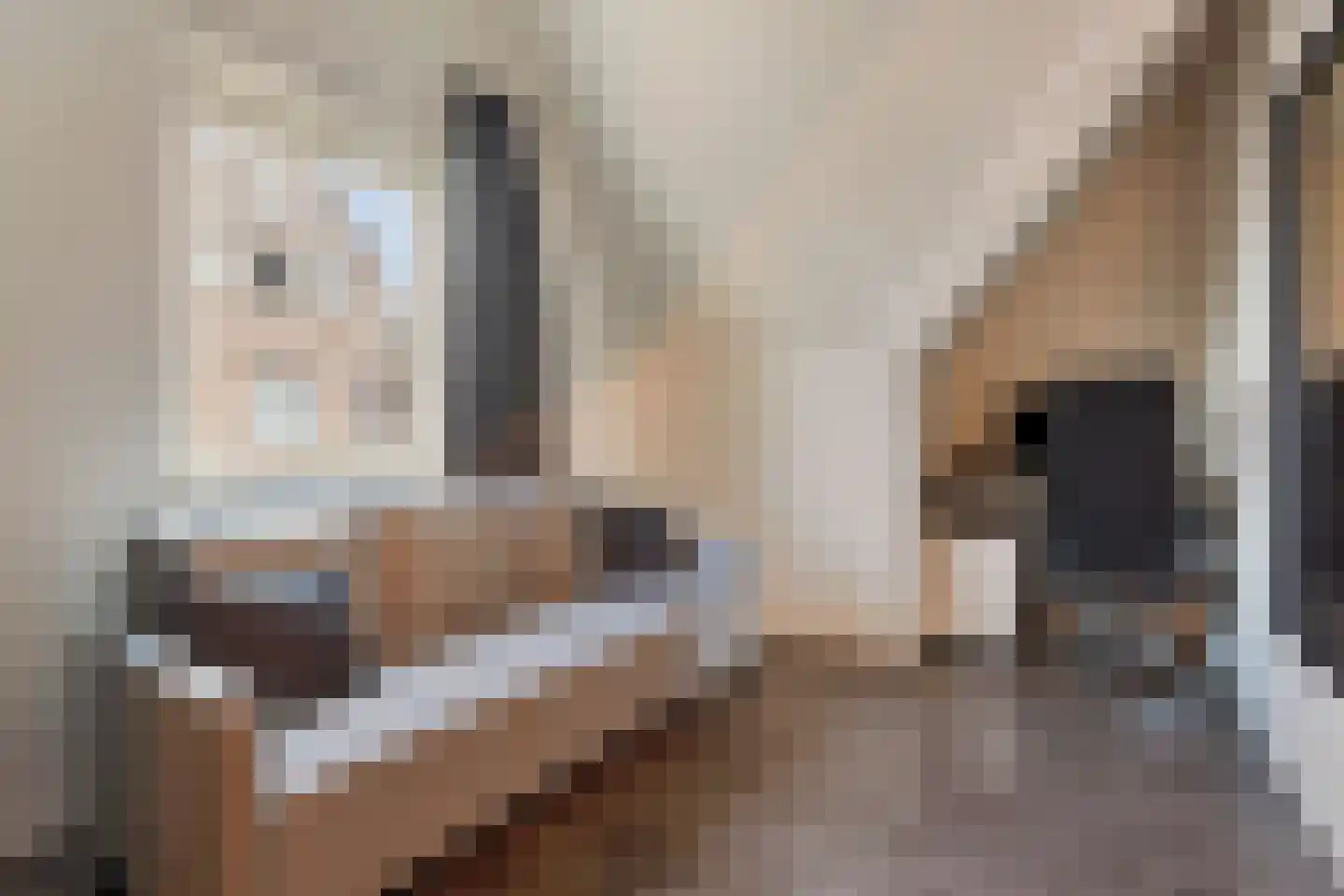 Leersumse Veld 39 Vleuten thumbnail 31