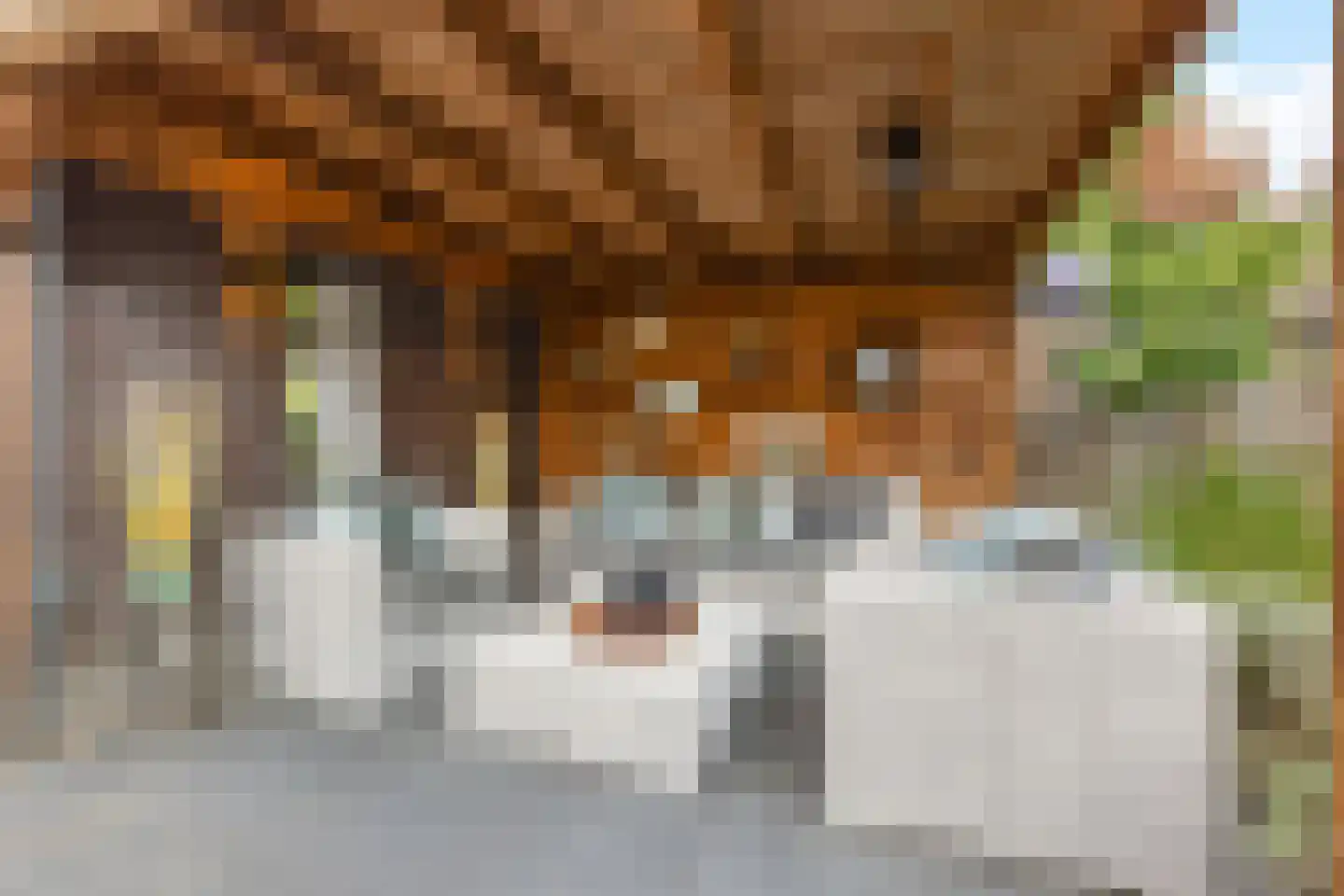 Leersumse Veld 39 Vleuten thumbnail 33