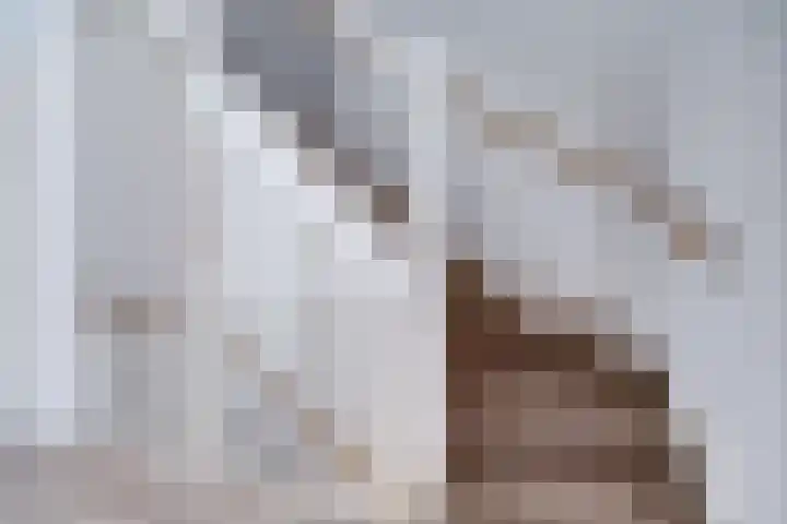 Leersumse Veld 43 Vleuten thumbnail 34