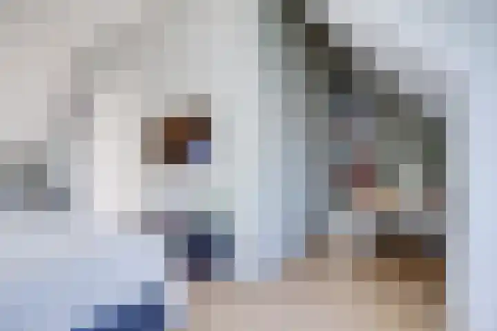 Leersumse Veld 43 Vleuten thumbnail 39