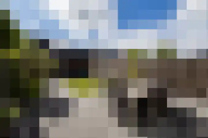 Leersumse Veld 43 Vleuten thumbnail 42