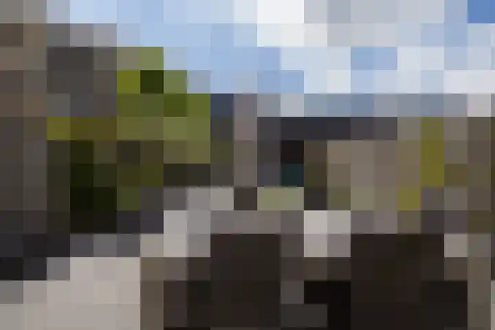 Leersumse Veld 43 Vleuten thumbnail 43