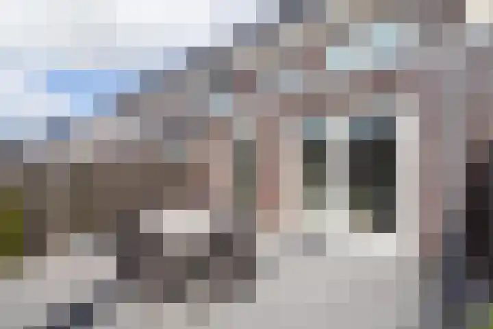 Leersumse Veld 43 Vleuten thumbnail 45