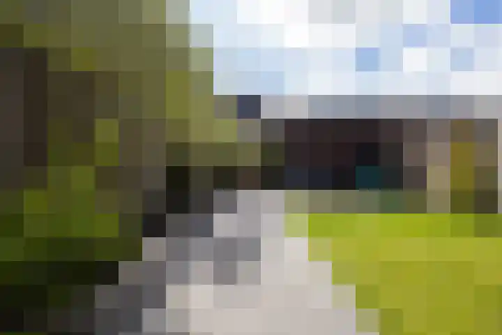 Leersumse Veld 43 Vleuten thumbnail 47