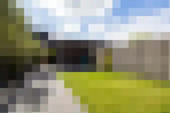 Leersumse Veld 43 Vleuten thumbnail 48