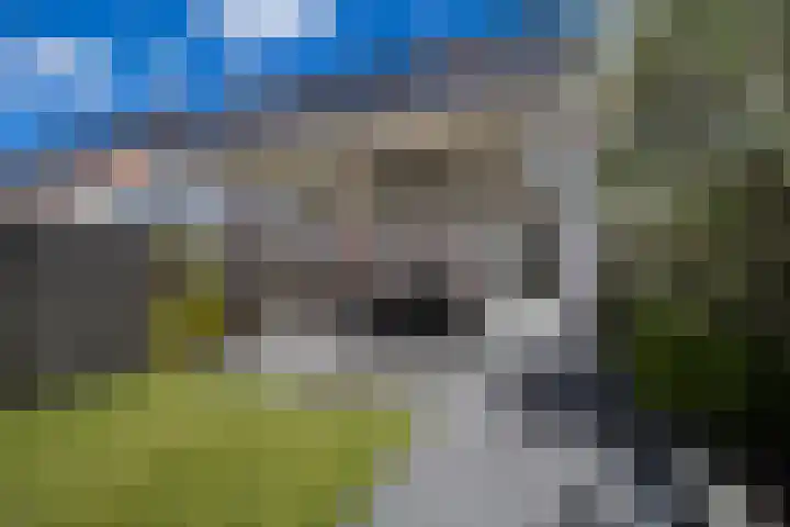 Leersumse Veld 43 Vleuten thumbnail 51