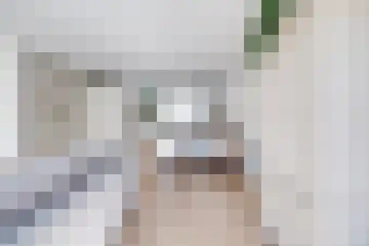 Leersumse Veld 43 Vleuten thumbnail 7