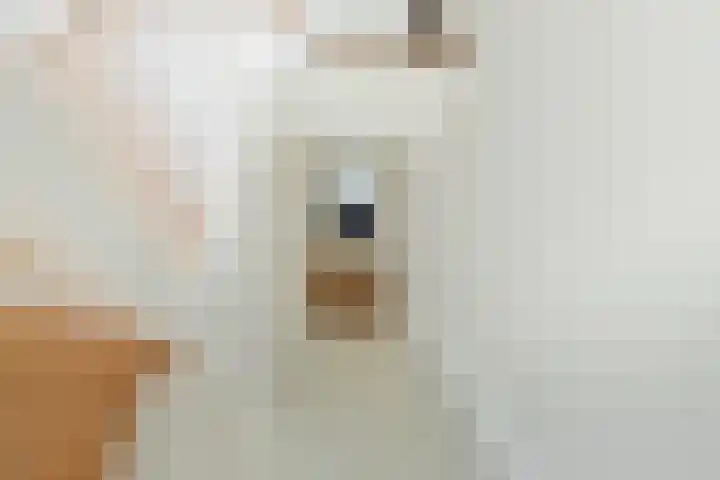 Leersumseberg 30 Amersfoort thumbnail 22