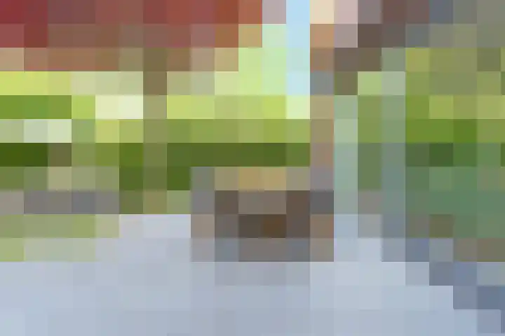 Leersumseberg 30 Amersfoort thumbnail 42