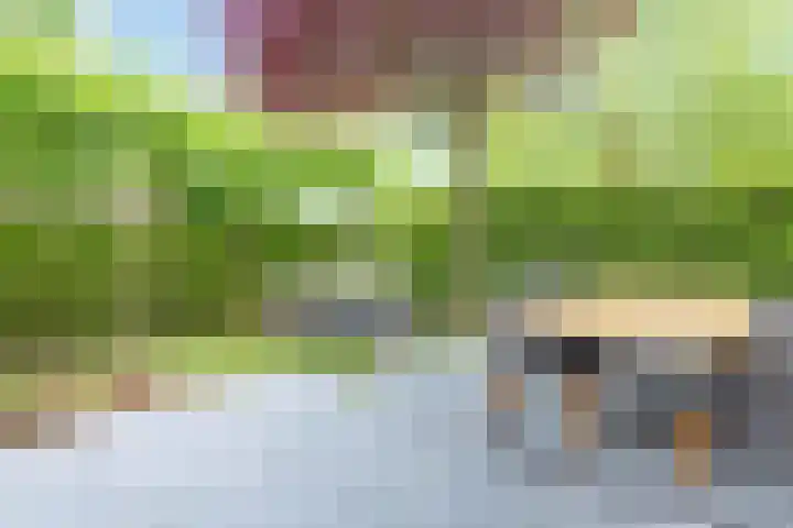 Leersumseberg 30 Amersfoort thumbnail 43
