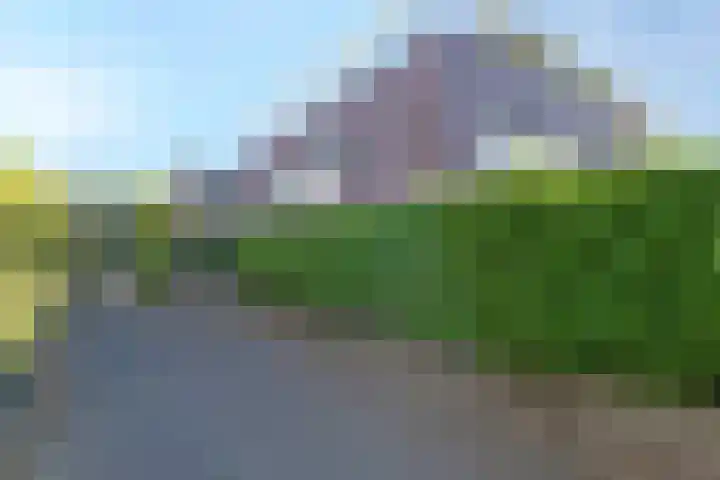 Leersumseberg 8 Amersfoort thumbnail 11