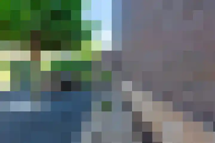 Leersumseberg 8 Amersfoort thumbnail 37