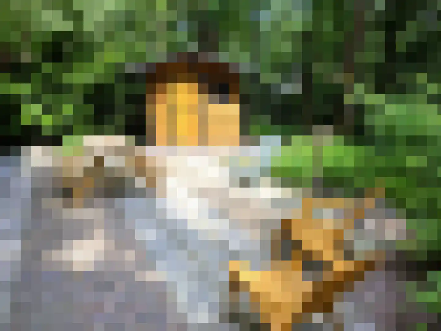 Leersumsestraatweg 23 r 17 Doorn thumbnail 27