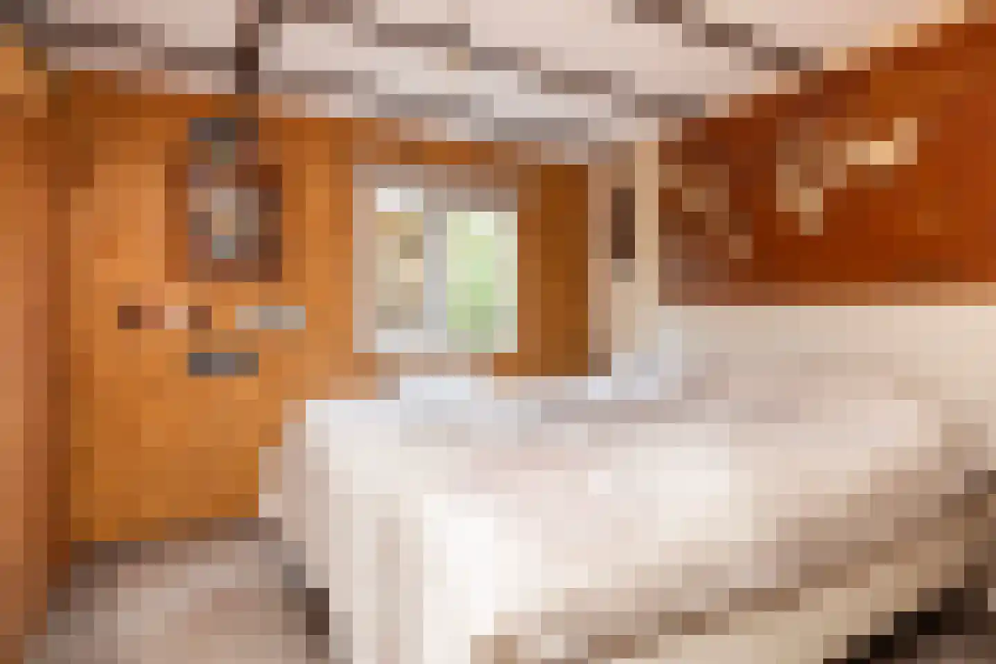 Leersumsestraatweg 23 r 33 Doorn thumbnail 11