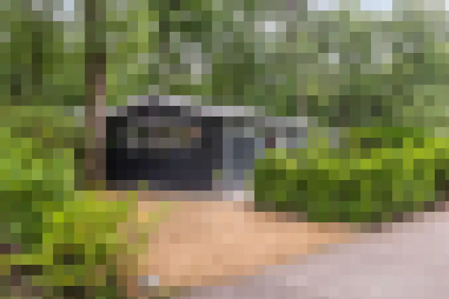 Leersumsestraatweg 23 r 33 Doorn thumbnail 14