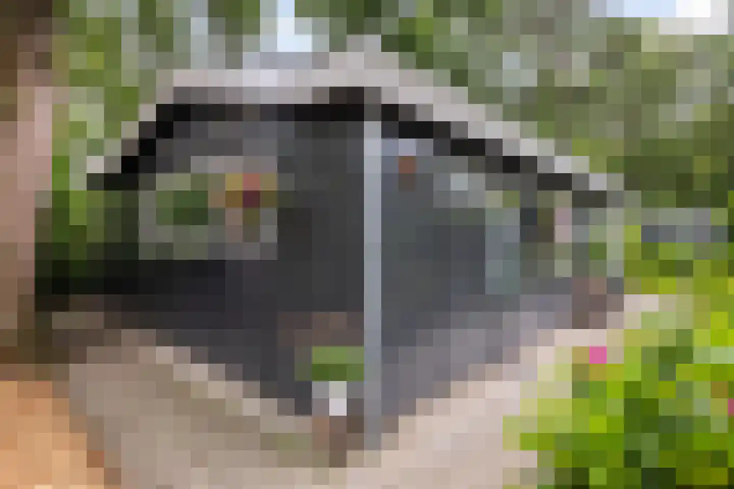 Leersumsestraatweg 23 r 33 Doorn thumbnail 15