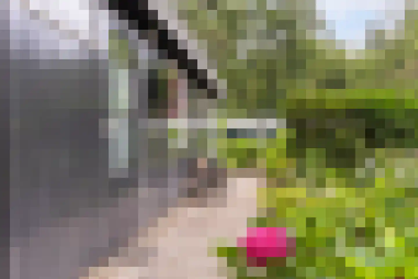 Leersumsestraatweg 23 r 33 Doorn thumbnail 17