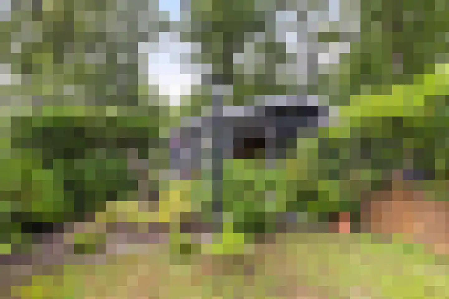 Leersumsestraatweg 23 r 33 Doorn thumbnail 23