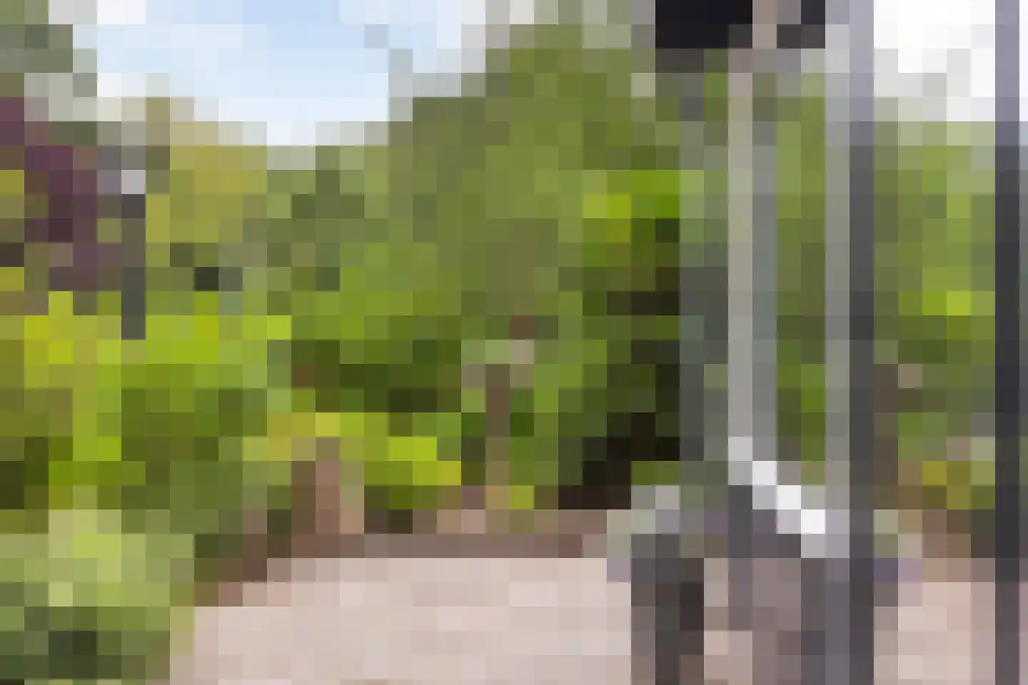 Leersumsestraatweg 23 r 33 Doorn thumbnail 24