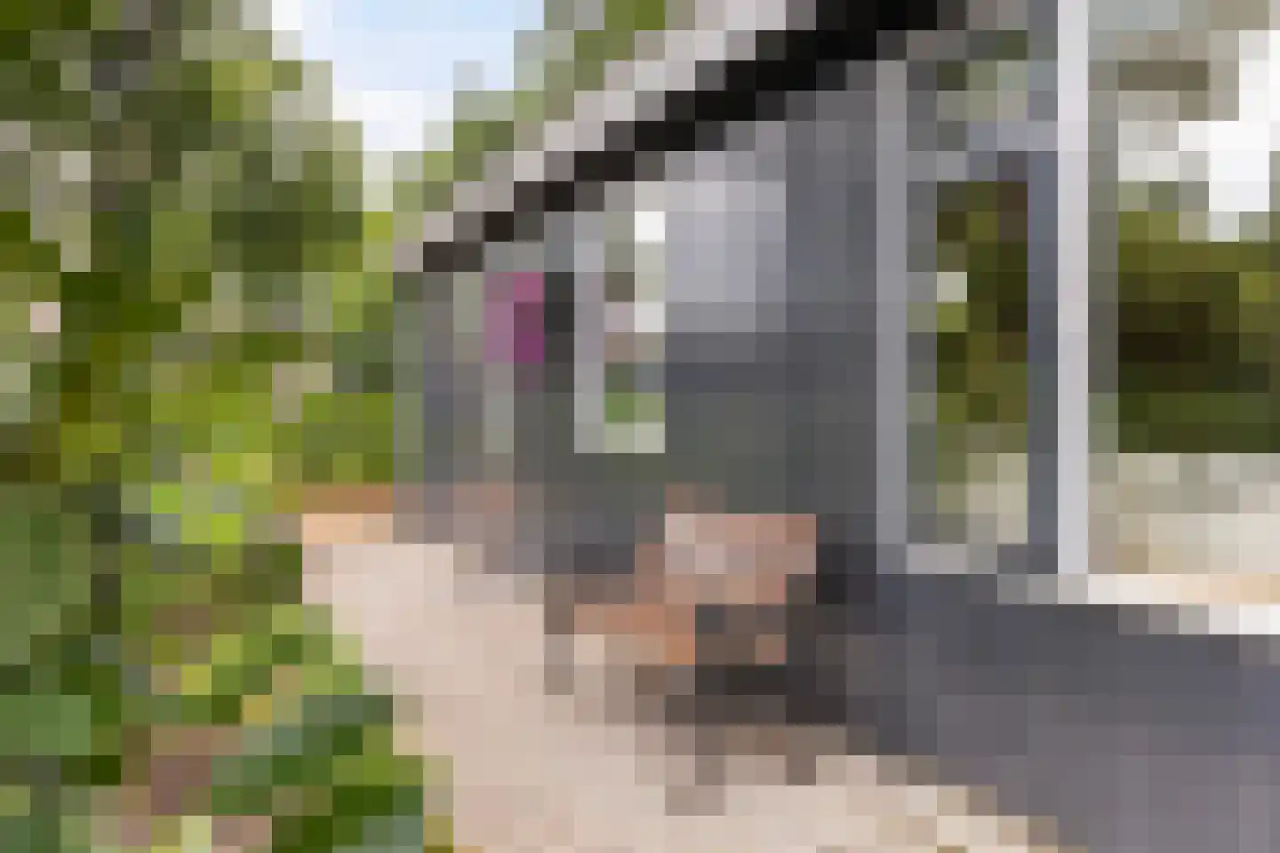 Leersumsestraatweg 23 r 33 Doorn thumbnail 25