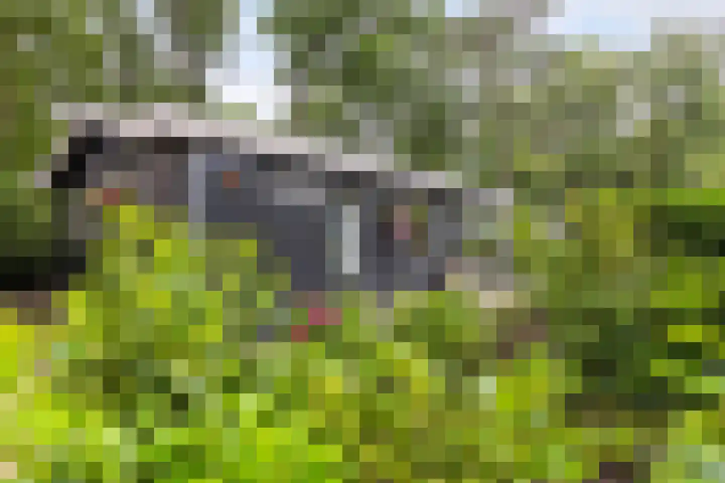 Leersumsestraatweg 23 r 33 Doorn thumbnail 26