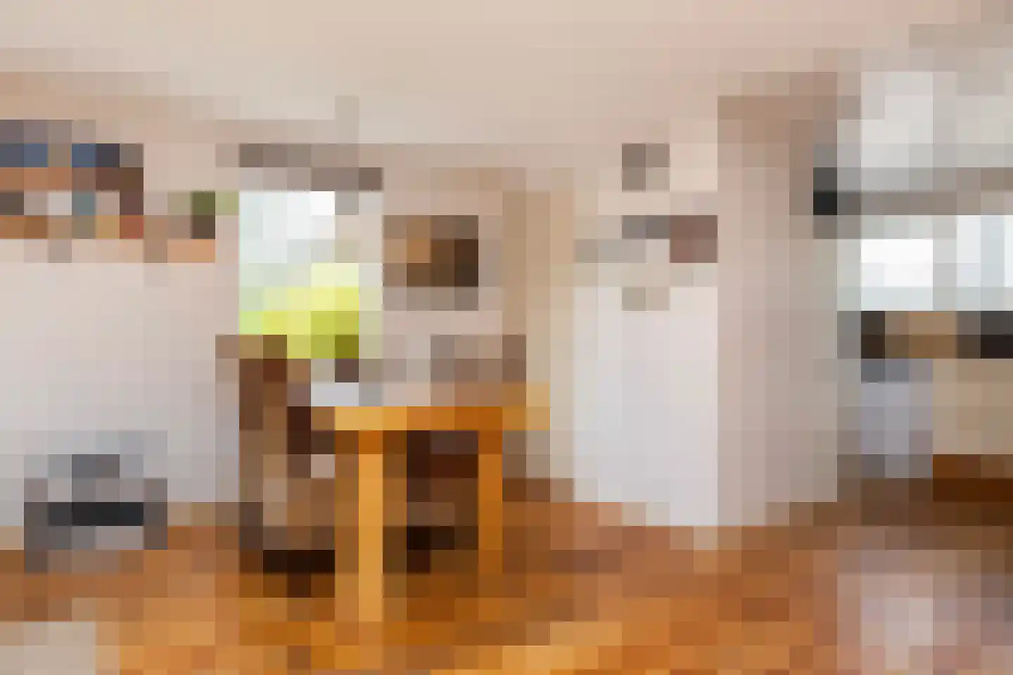 Leersumsestraatweg 23 r 33 Doorn thumbnail 8