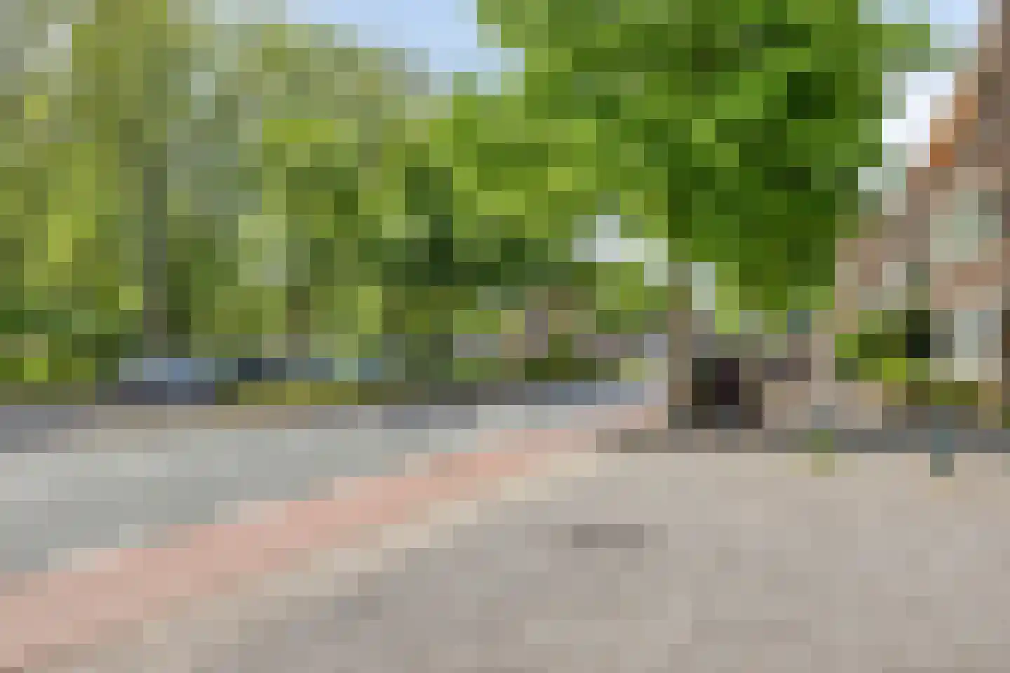 Leersumstraat 161 Den Haag thumbnail 33