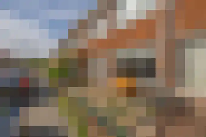 Leersumstraat 31 Den Haag thumbnail 7