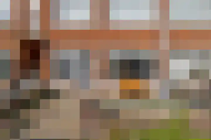 Leersumstraat 31 Den Haag thumbnail 9