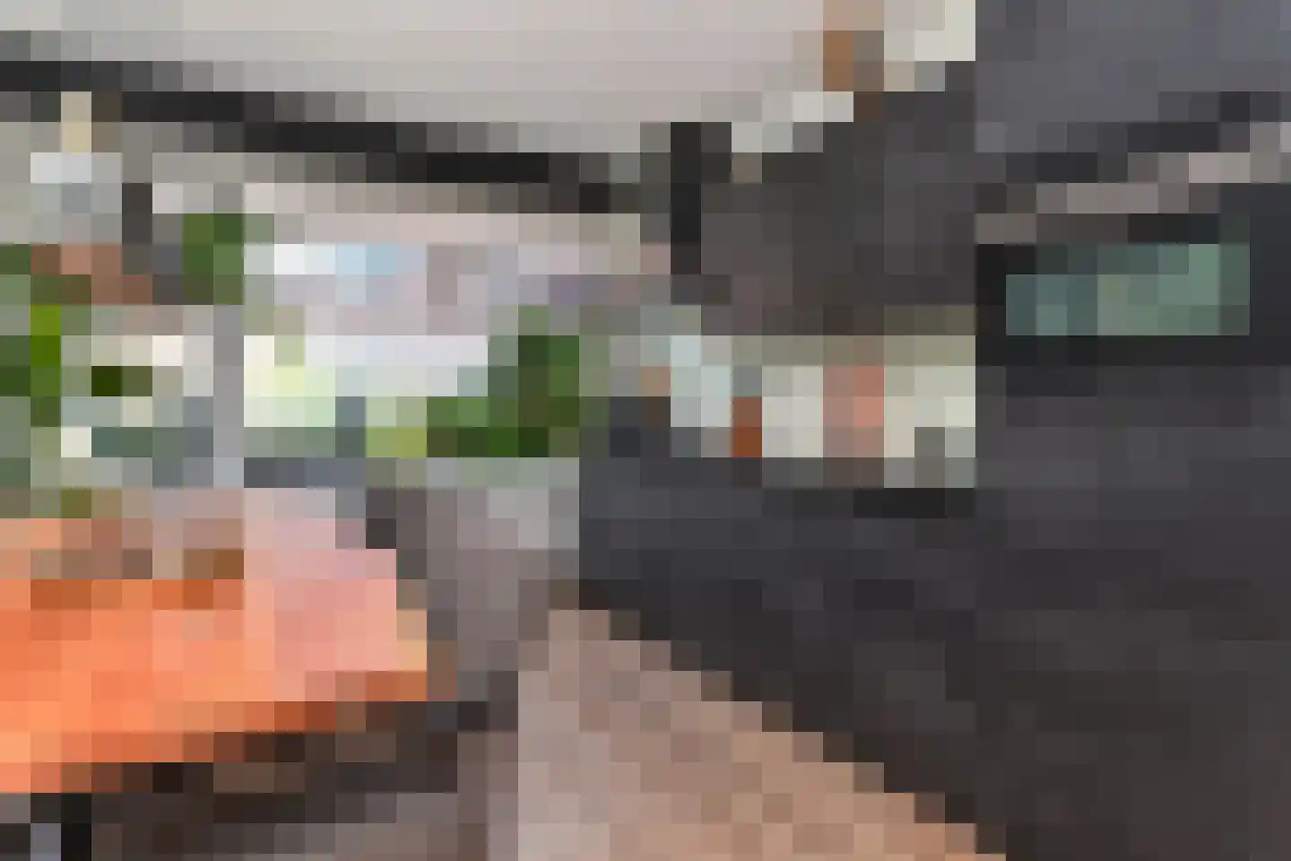 Leersumstraat 37 Den Haag thumbnail 13