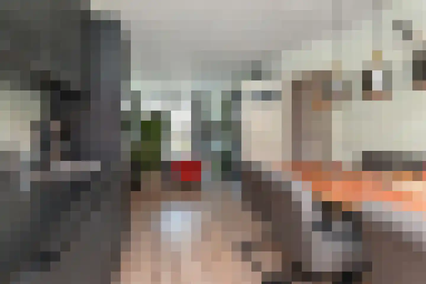Leersumstraat 37 Den Haag thumbnail 14
