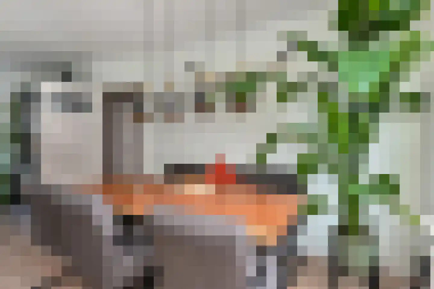 Leersumstraat 37 Den Haag thumbnail 15