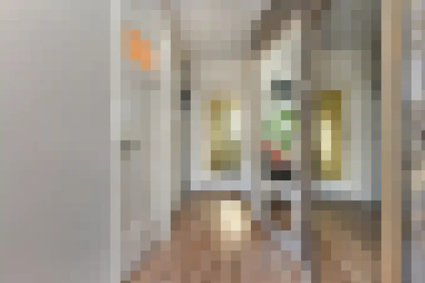 Leersumstraat 37 Den Haag thumbnail 8