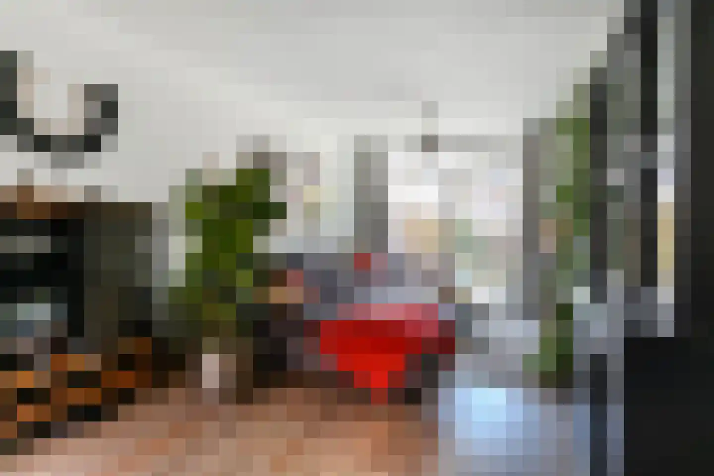 Leersumstraat 37 Den Haag thumbnail 9