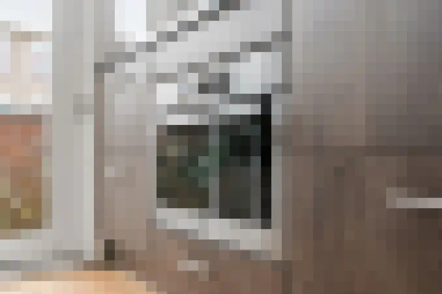 Leersumstraat 58 Den Haag thumbnail 21