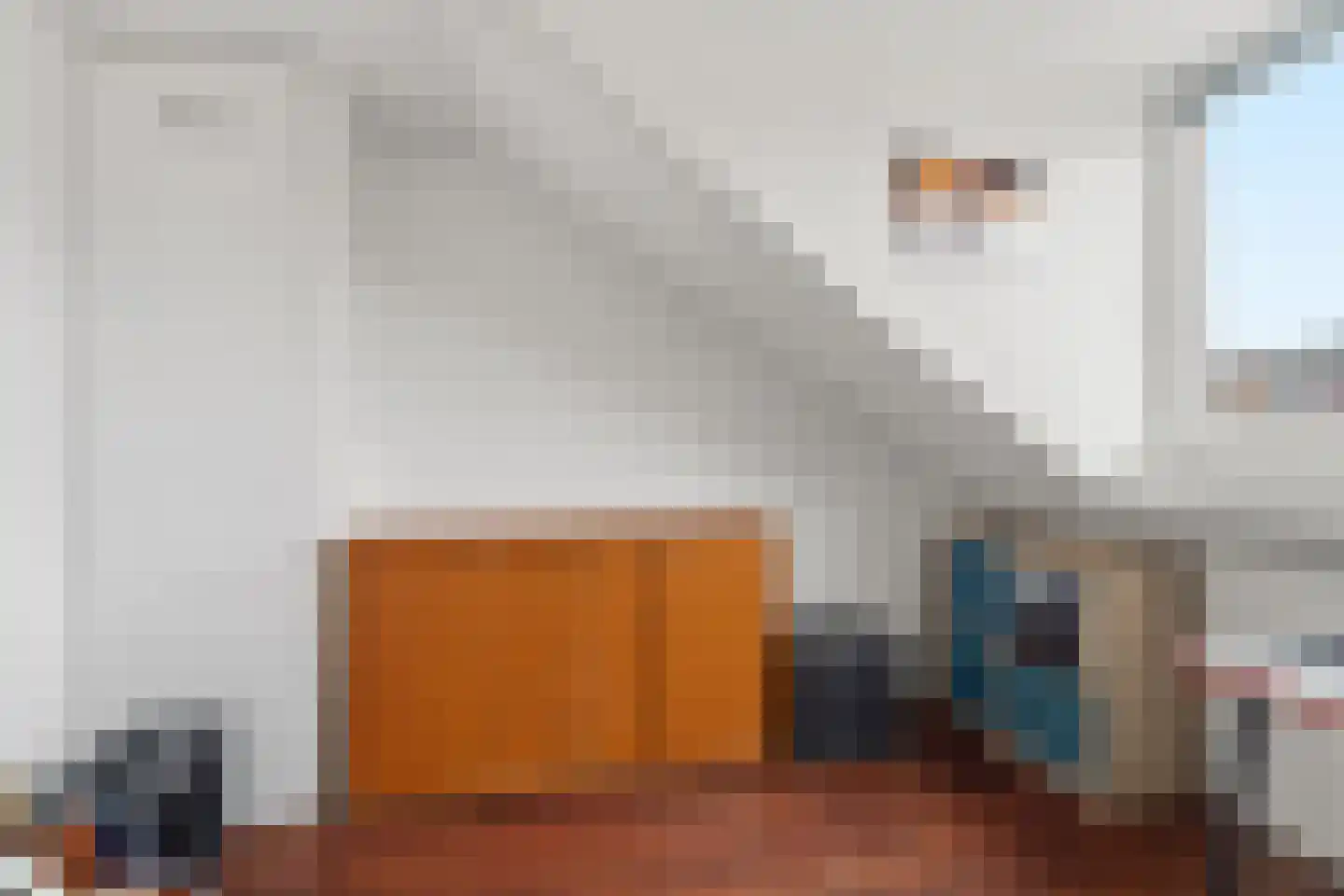 Leersumstraat 58 Den Haag thumbnail 38