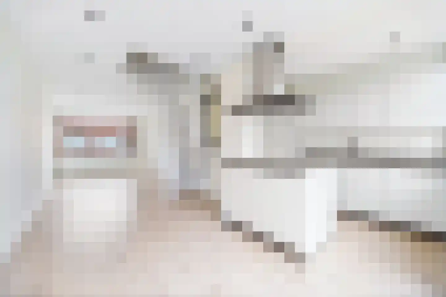 Leersumstraat 60 Den Haag thumbnail 7