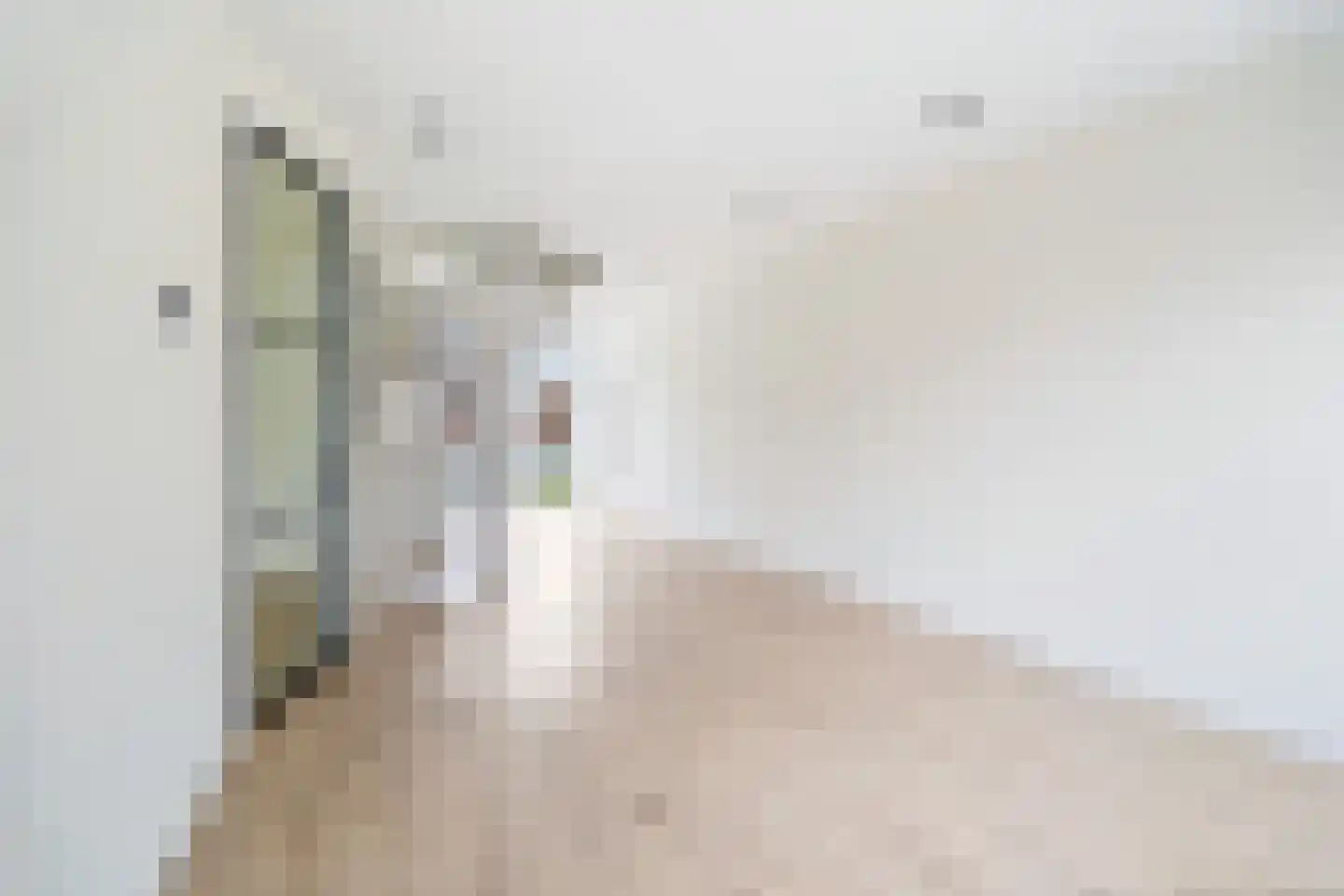 Leersumstraat 60 Den Haag thumbnail 8
