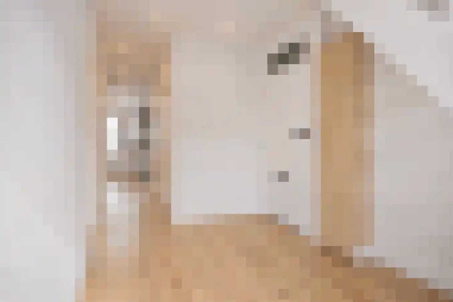 Leersumstraat 78 Den Haag thumbnail 8