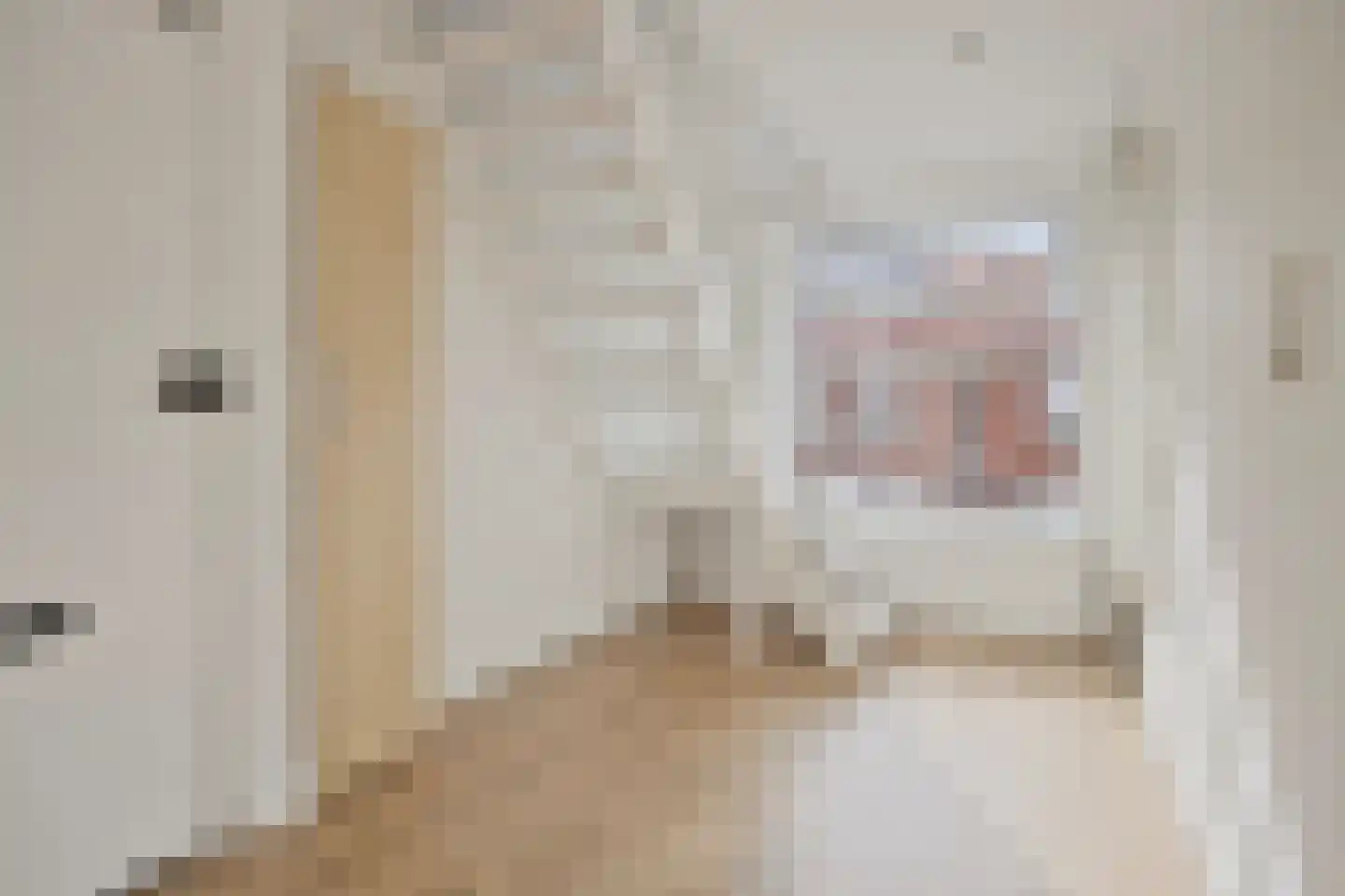 Leersumstraat 78 Den Haag thumbnail 9