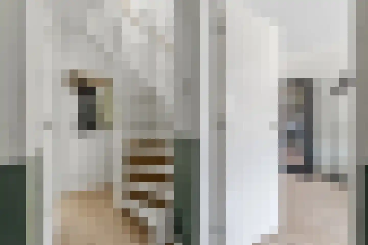 Leersumstraat 80 Den Haag thumbnail 34