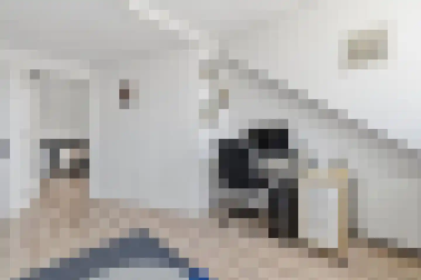 Leersumstraat 80 Den Haag thumbnail 43