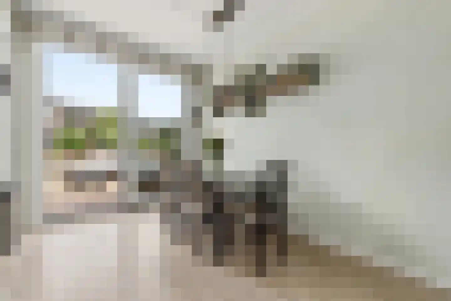Leersumstraat 80 Den Haag thumbnail 8