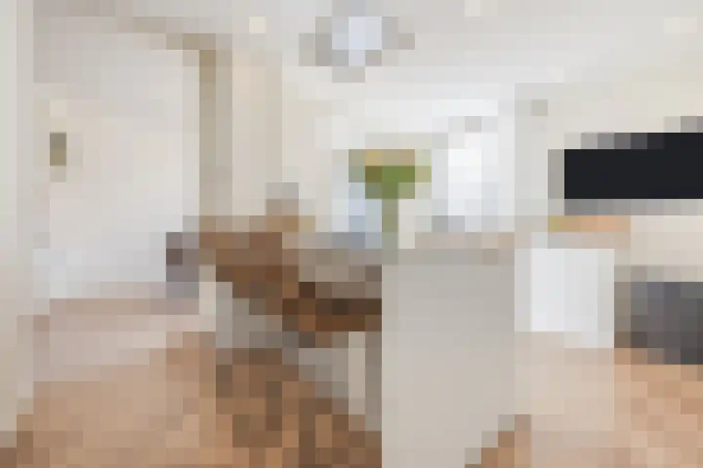 Leersumstraat 83 Den Haag thumbnail 13