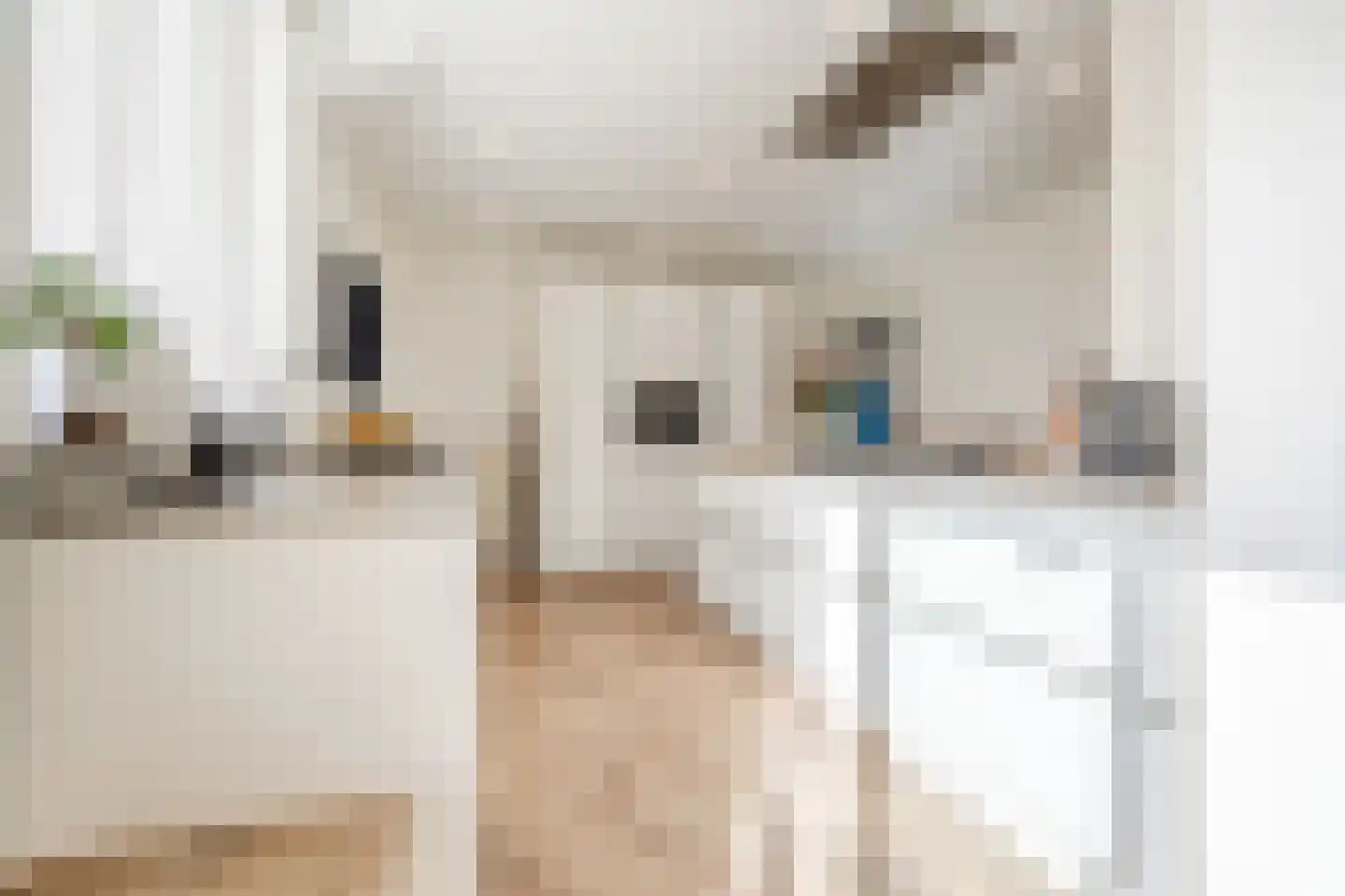 Leersumstraat 83 Den Haag thumbnail 17