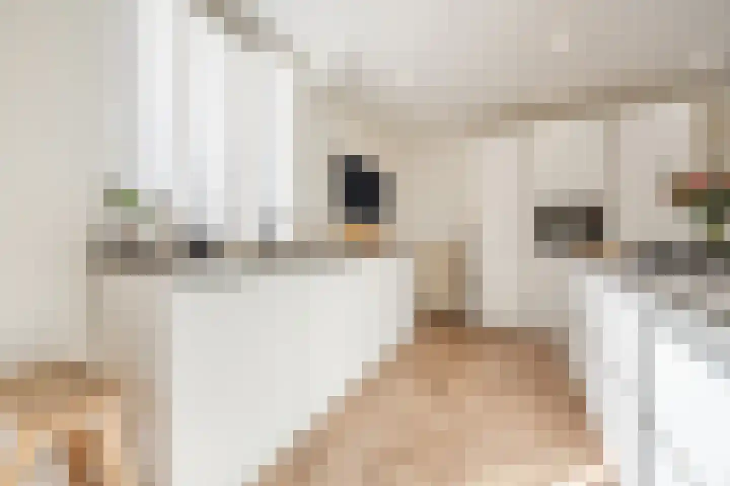 Leersumstraat 83 Den Haag thumbnail 18