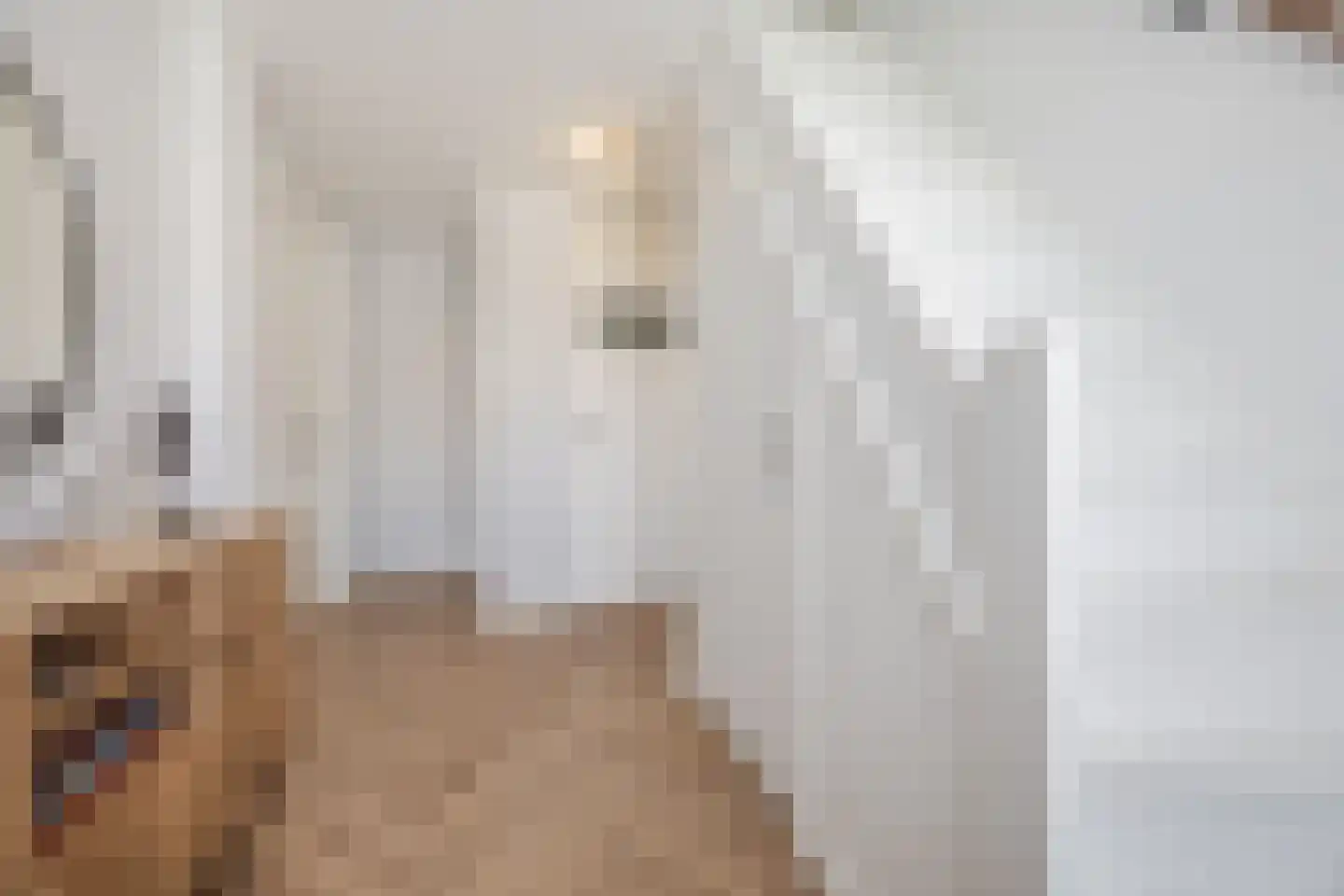 Leersumstraat 83 Den Haag thumbnail 22