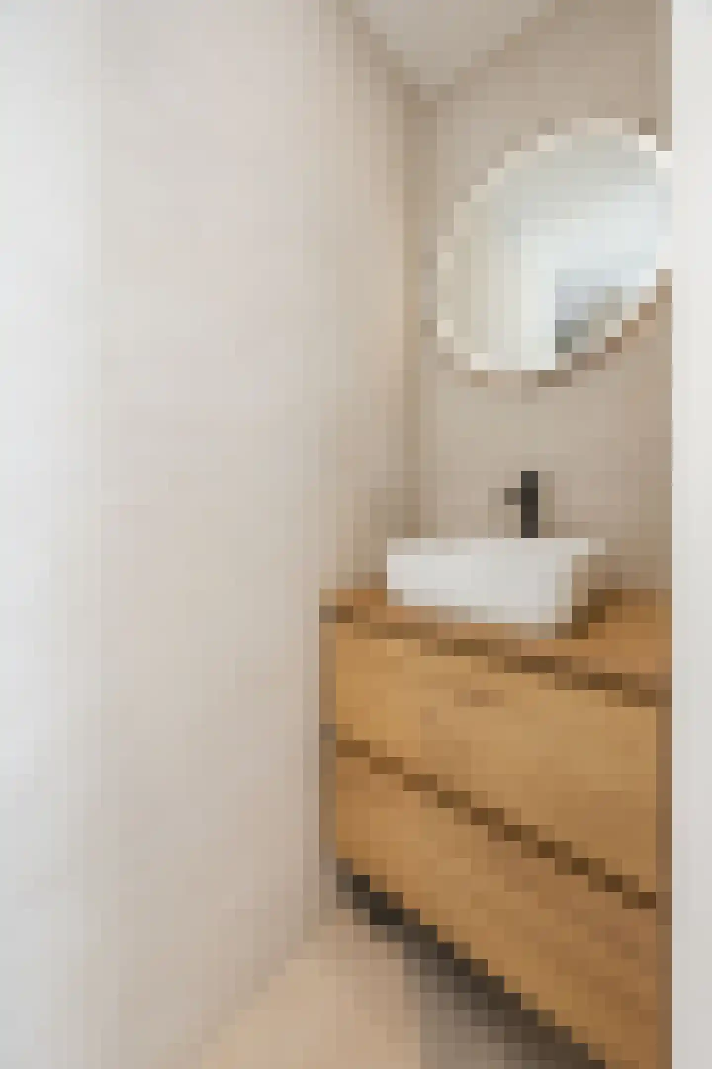 Leersumstraat 83 Den Haag thumbnail 37