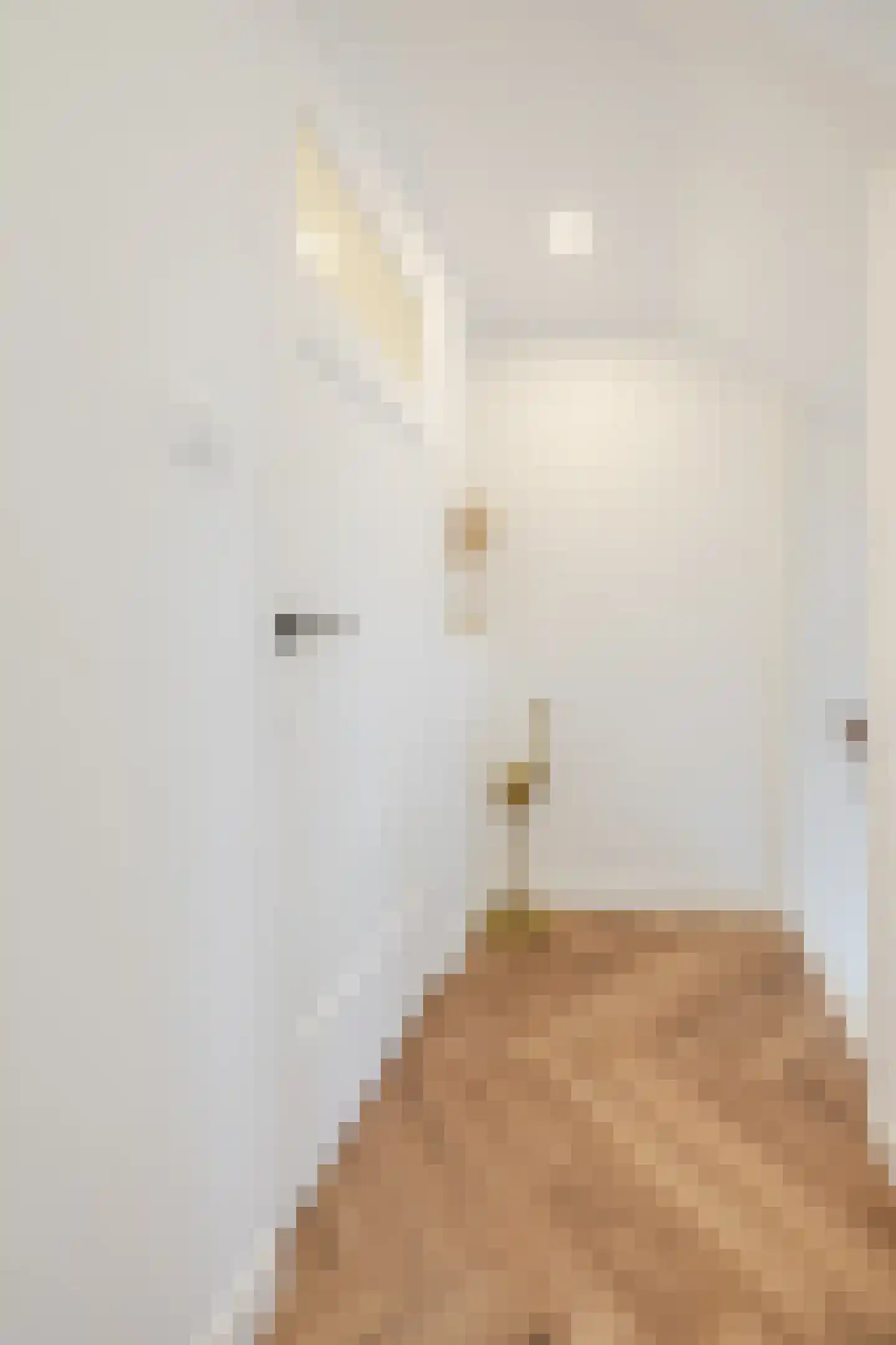 Leersumstraat 83 Den Haag thumbnail 40