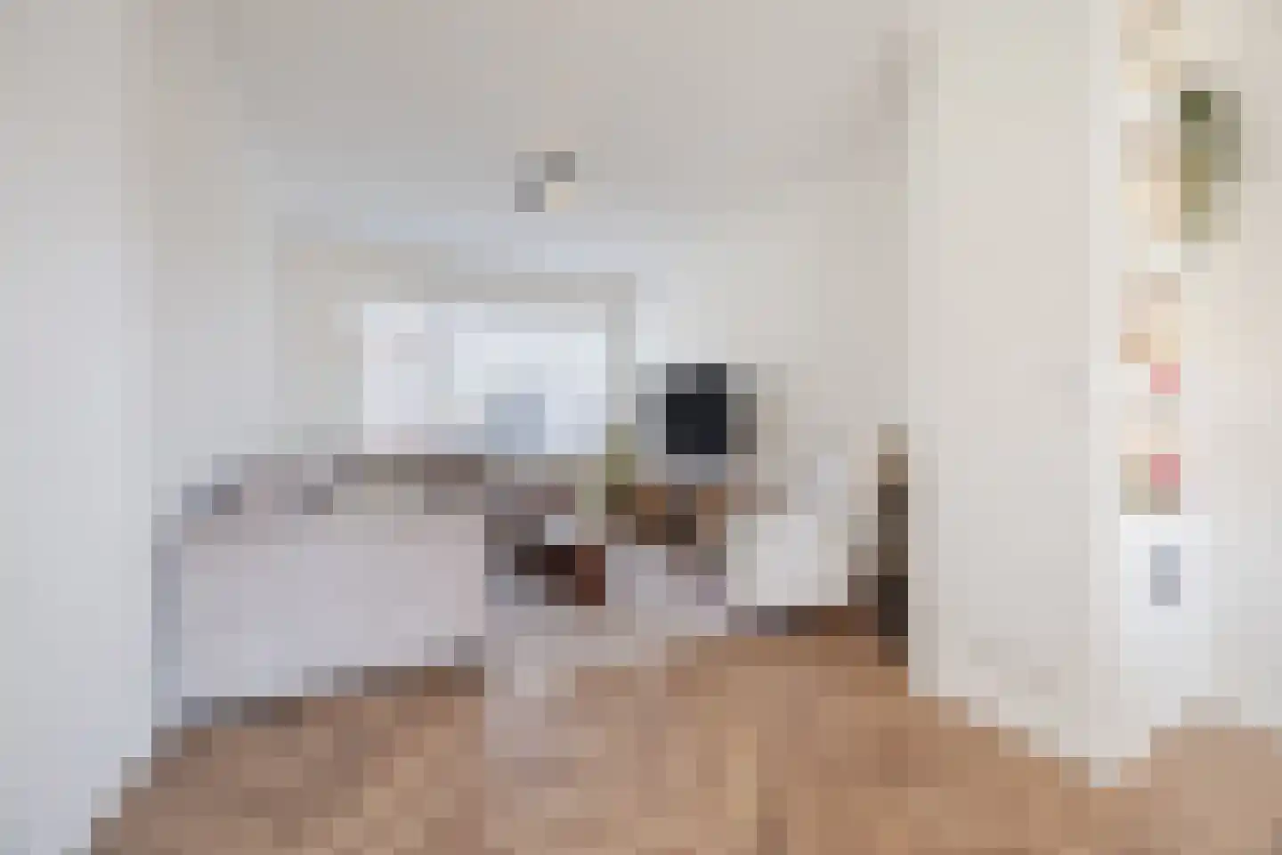 Leersumstraat 83 Den Haag thumbnail 9